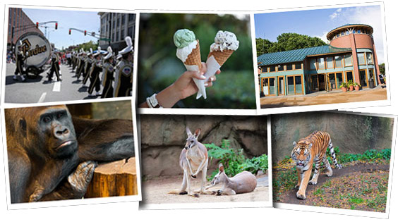 Pictures of Lincoln Park Zoo